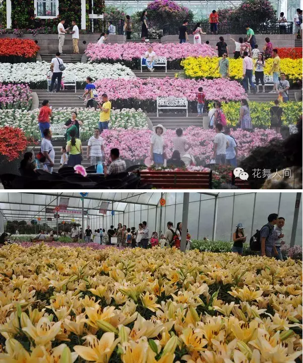 QQ图片20160909135745.png