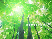 平面设计